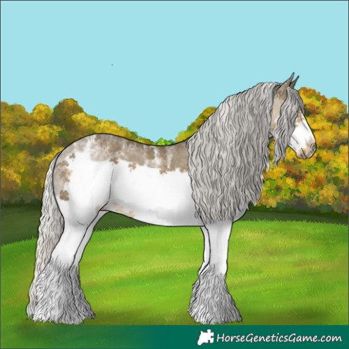 Horse Color:Powder White Silver Smoky Grullo Sabino Splash Frame Rabicano