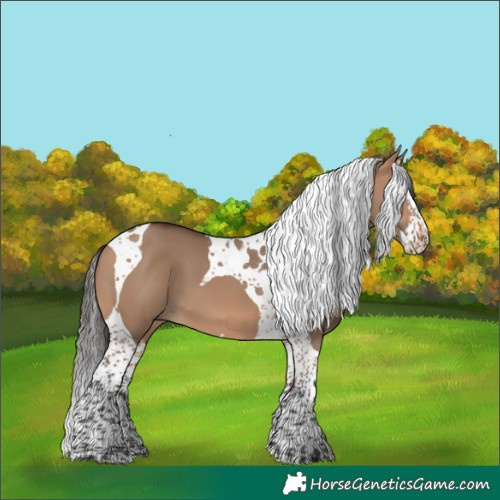Horse Color:Bay Dun Splash Tobiano 