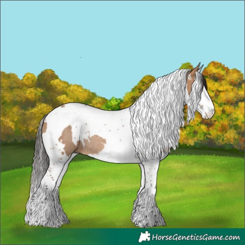 Horse Color:White Spotted Bay Dun Splash Tobiano Rabicano 