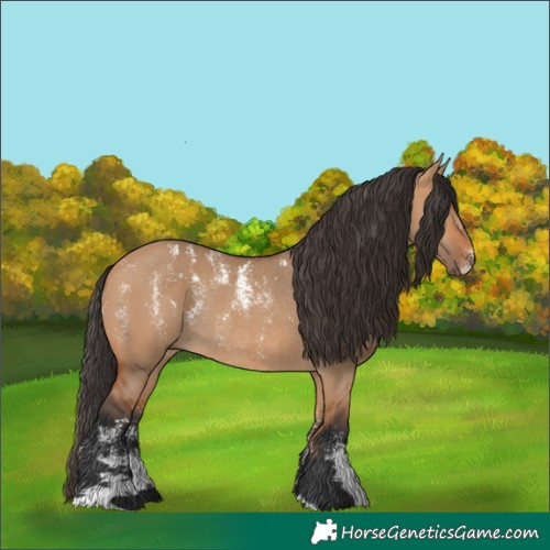 Horse Color:Powder White Bay Dun Rabicano 