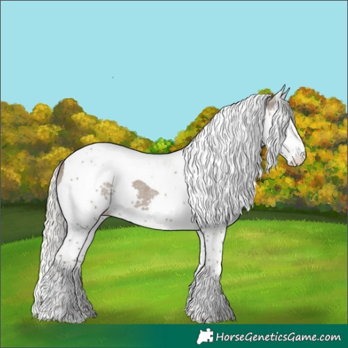 Horse Color:Silver Grullo Splash Tobiano Rabicano 
