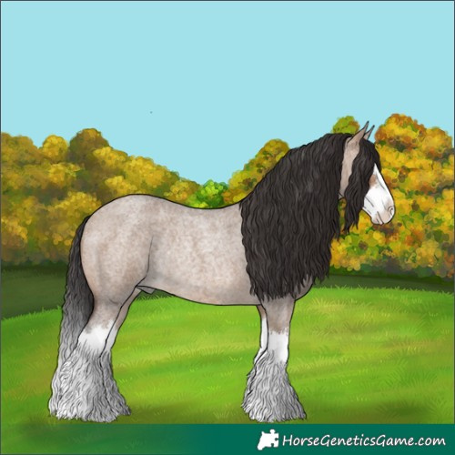 Horse Color:Brown Roan Dun Splash Rabicano 