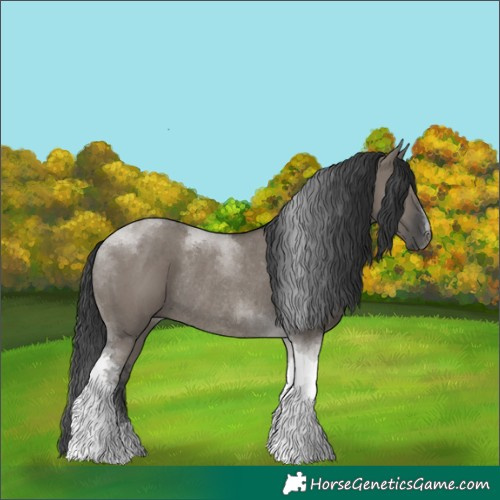 Horse Color:Grullo Tobiano Rabicano 