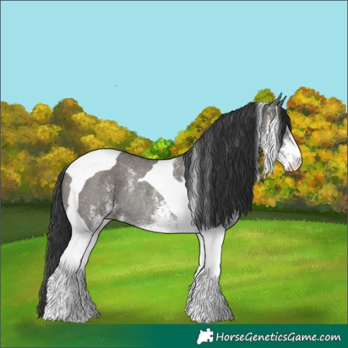Horse Color:White Spotted Grullo Tobiano Rabicano 