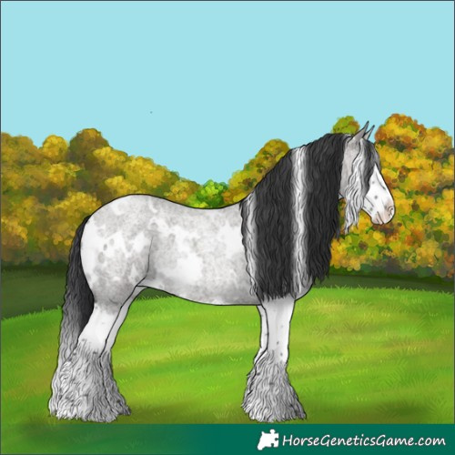 Horse Color:White Spotted Grullo Roan Splash Rabicano 
