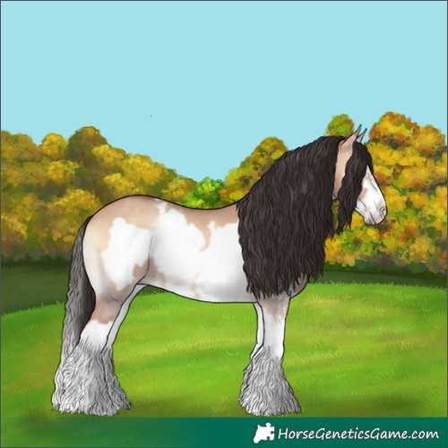 Horse Color:Bay Onyx Sabino Splash Frame Rabicano