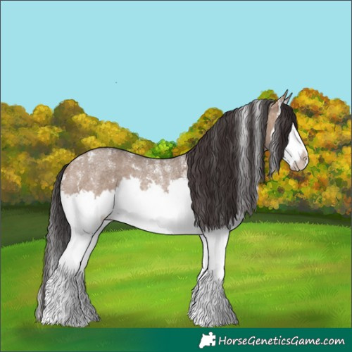 Horse Color:Powder White Brown Roan Dun Splash Rabicano 