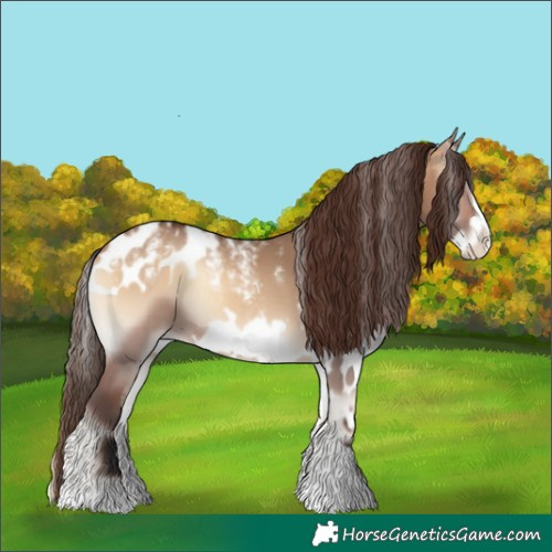 Horse Color:Powder White Bay Onyx Frame Skewed LP Spotted Rabicano
