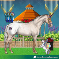 Horse Color:Silver Blue Roan Pearl Frame Blanket