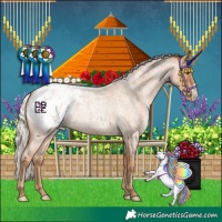 Horse Color:Silver Blue Roan Pearl Frame Blanket