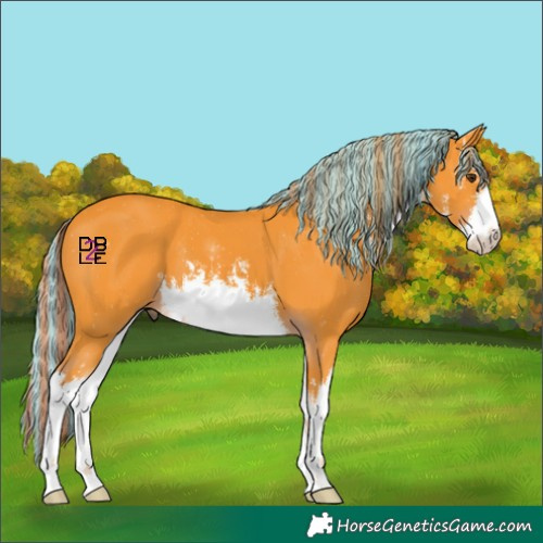 Horse Color:Platinum Painted Watercolor White Spotted Liver Chestnut