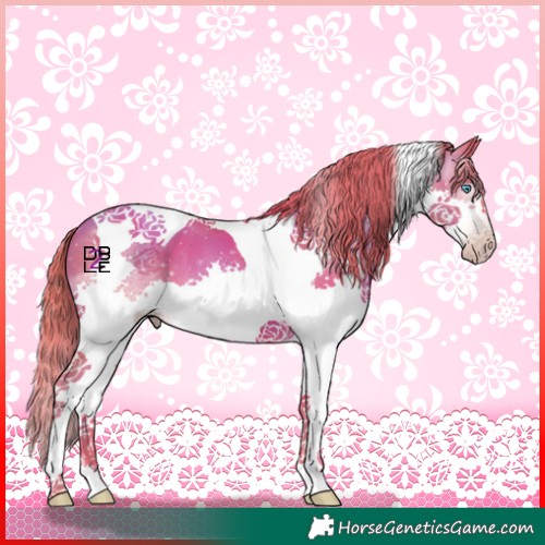 Horse Color:Gray Watercolor White Spotted Gold Champagne Splash Tobiano