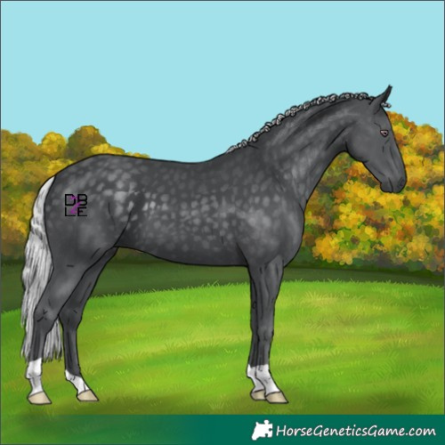 Horse Color:Silver Black Chinchilla 