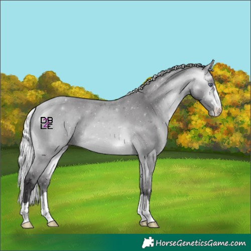 Horse Color:Silver Buckskin Chinchilla Varnish 