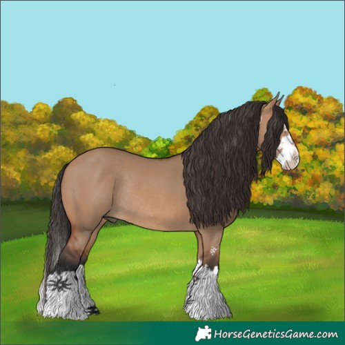 Horse Color:Bay Dun Sabino Splash Rabicano