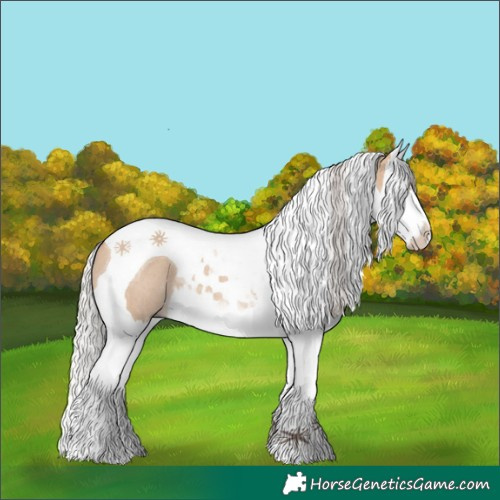Horse Color:Silver Brown Dun Splash Tobiano Rabicano