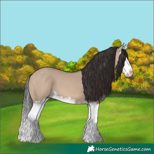 Horse Color:Brown Dun Sabino Splash 