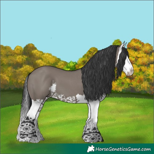 Horse Color:White Spotted Grullo Splash 