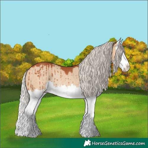 Horse Color:Silver Bay Dun Splash Rabicano Brindle 