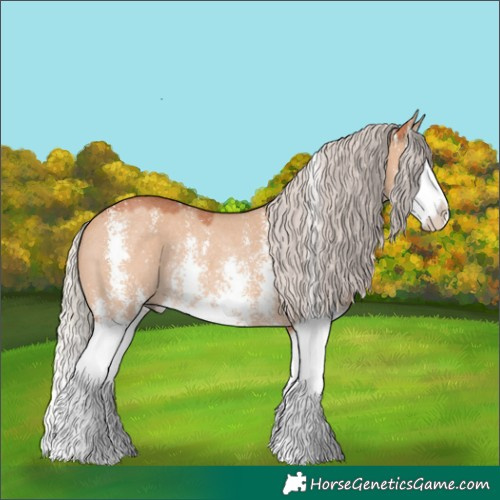 Horse Color:Silver Bay Dun Sabino Splash Rabicano 