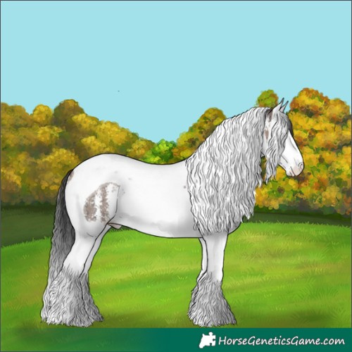 Horse Color:Brown Dun Sabino Splash Tobiano Rabicano Brindle 