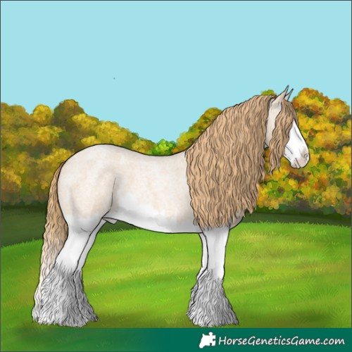 Horse Color:Red Dun Roan Splash 