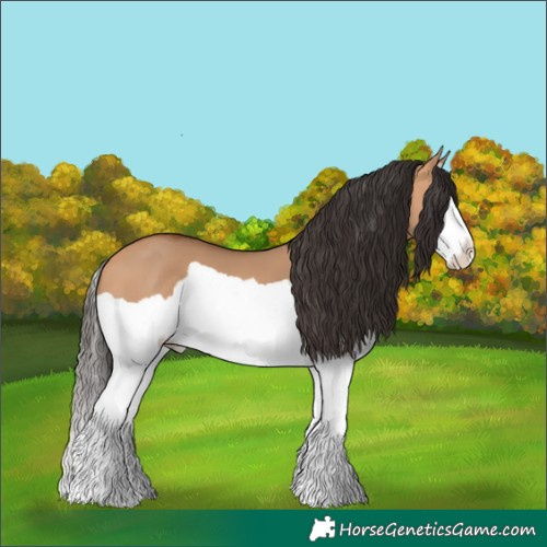 Horse Color:Bay Dun Splash