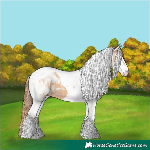 Horse Color:Red Dun Splash Tobiano
