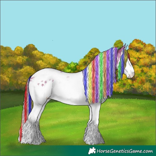 Horse Color:Painted Bay Dun Splash Tobiano Blanket Brindle