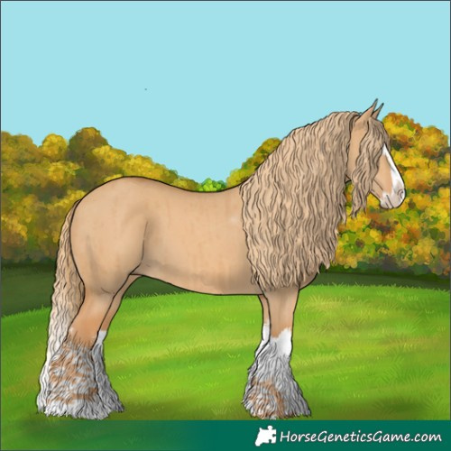 Horse Color:White Spotted Red Dun Splash Brindle