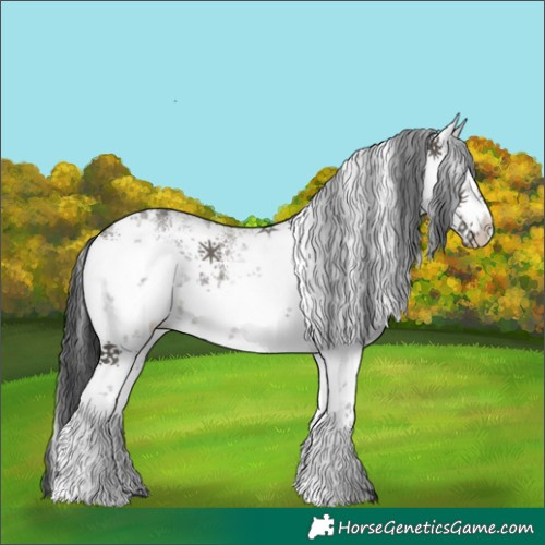 Horse Color:White Spotted Grullo Sabino 