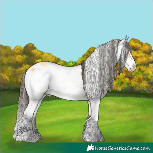 Horse Color:White Spotted Buckskin Dun Sabino Splash