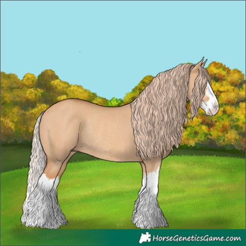 Horse Color:Red Dun Sabino Splash Rabicano