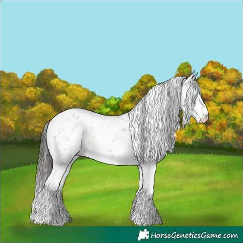 Horse Color:White Spotted Bay Dun Sabino Rabicano 