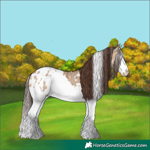 Horse Color:White Spotted Bay Dun Splash Blanket Brindle 