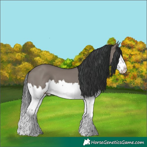 Horse Color:White Spotted Grullo Splash 