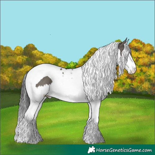 Horse Color:Grullo Splash Tobiano 