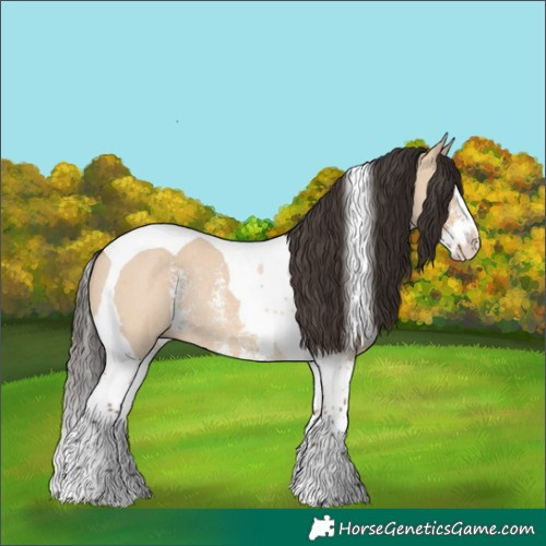 Horse Color:Bay Dun Sabino Splash Tobiano Rabicano 