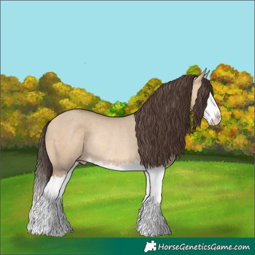 Horse Color:Amber Champagne Dun Splash Rabicano 
