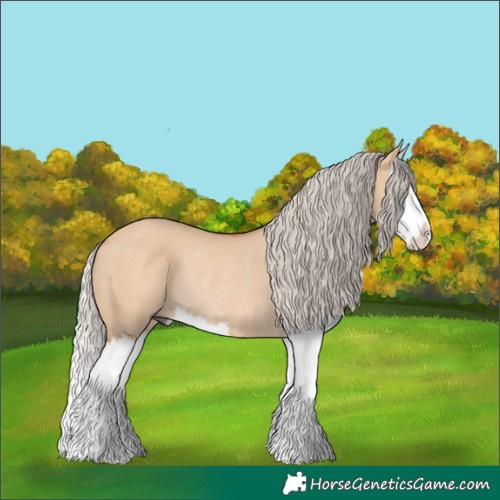 Horse Color:Silver Bay Dun Splash Rabicano 