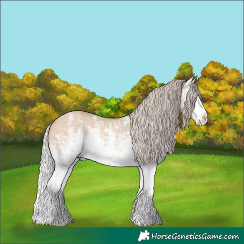 Horse Color:White Spotted Silver Bay Dun Sabino Splash Rabicano