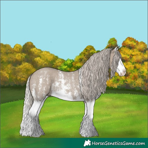 Horse Color:Silver Grullo Sabino Splash Rabicano