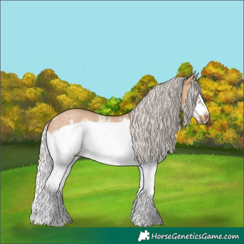 Horse Color:Silver Bay Dun Sabino Splash Frame Rabicano 