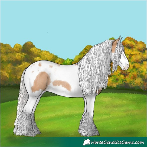Horse Color:Silver Bay Dun Splash Tobiano Rabicano