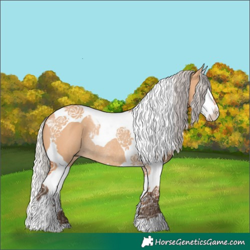 Horse Color:Silver Bay Dun Splash Tobiano Rabicano 