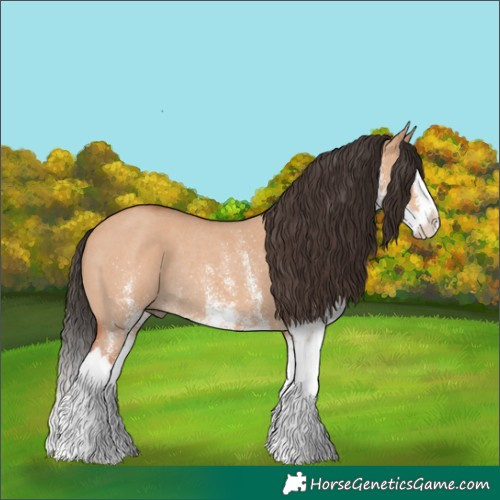 Horse Color:White Spotted Bay Dun Splash Rabicano
