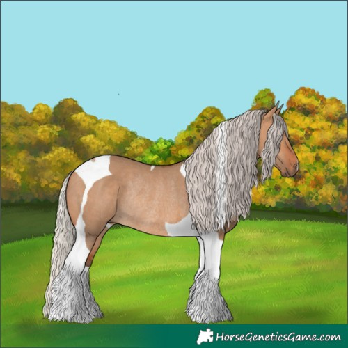 Horse Color:Silver Bay Dun Tobiano Rabicano 