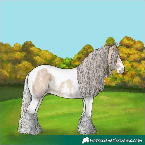 Horse Color:Silver Bay Dun Sabino Tobiano Rabicano