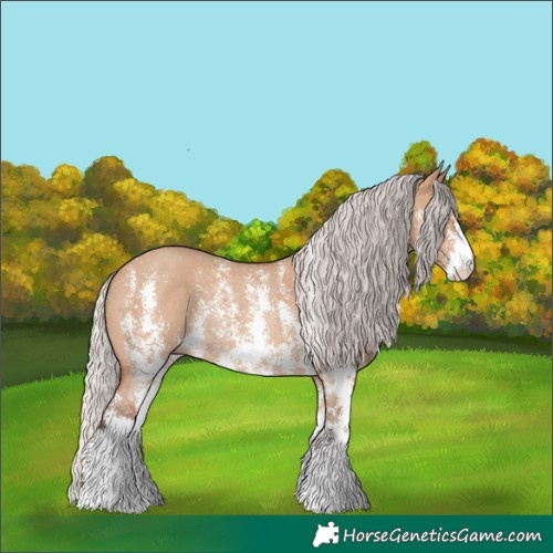 Horse Color:Silver Bay Dun Sabino Rabicano 