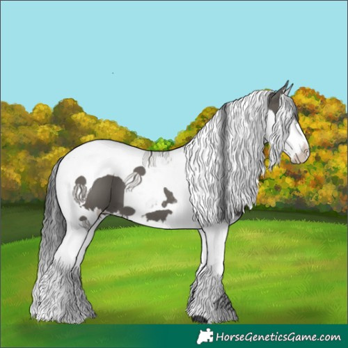 Horse Color:Grullo Splash Tobiano